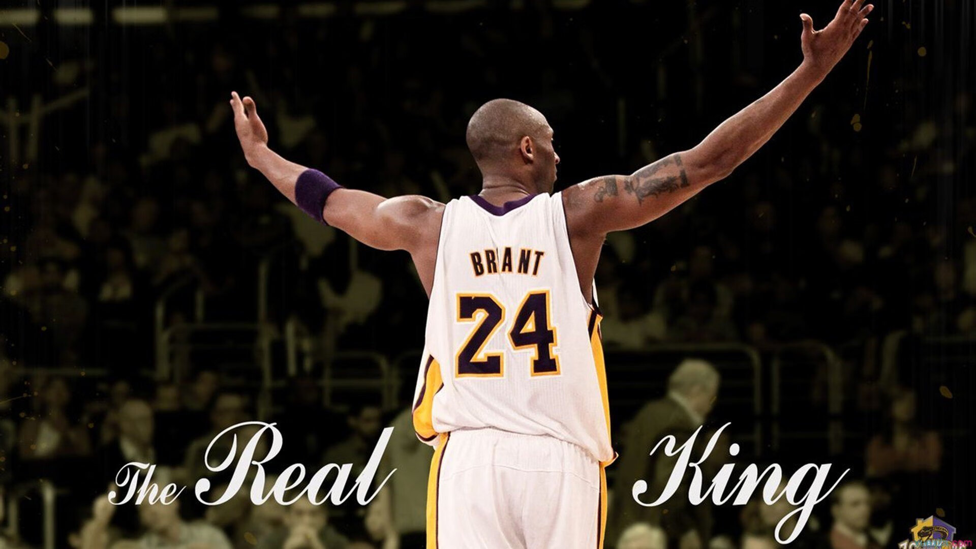 “青训比赛中涌现多名潜力股，引发市场热议”，青训选拔赛